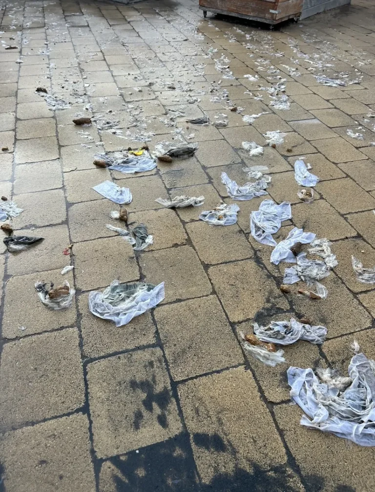 Trash scattered on brick pavement near dumpster.